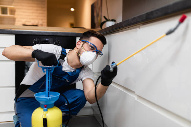 Best Mosquito Control Services  in Bonadelle Ranchos, CA