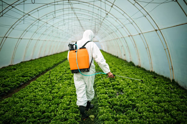 Trusted Bonadelle Ranchos, CA Pest Control Experts
