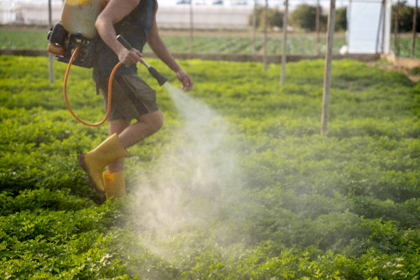 Best Best Pest Control Companies  in Bonadelle Ranchos, CA