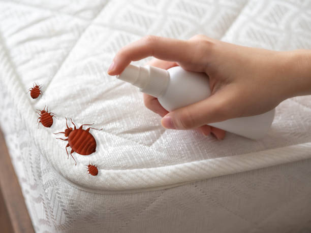 Best Best Pest Control Companies  in Bonadelle Ranchos, CA
