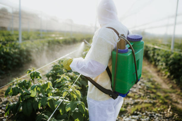 Flea Control Services in Bonadelle Ranchos, CA
